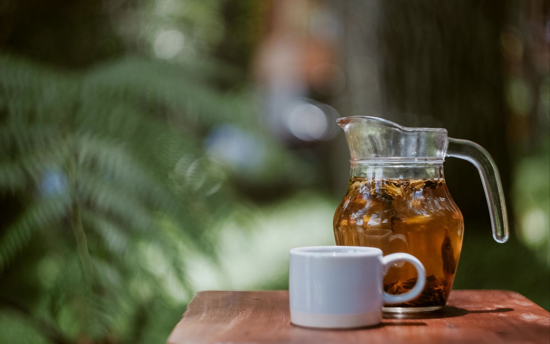 Raiz de Valeriana: Para Noites Mais Tranquilas e Menos Vertigem - inspiração 1