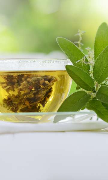 Perguntas Frequentes sobre Chá de Louro e Labirintite - inspiração 1