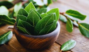 A Ciência por Trás dos Benefícios do Louro - inspiração 2