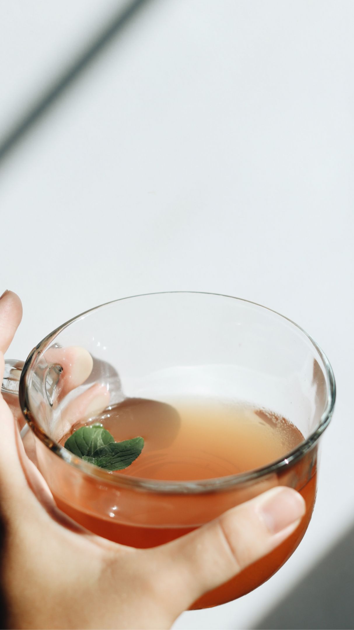 A Importância da Variedade e da Rotatividade dos Chás - inspiração 2