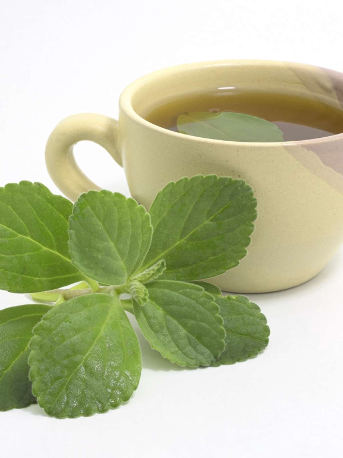 Chá de Hortelã: Alívio para o Desconforto Digestivo - inspiração 2