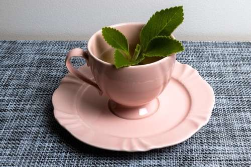 Chá de Gengibre: Anti-inflamatório e Digestivo Natural - inspiração 2