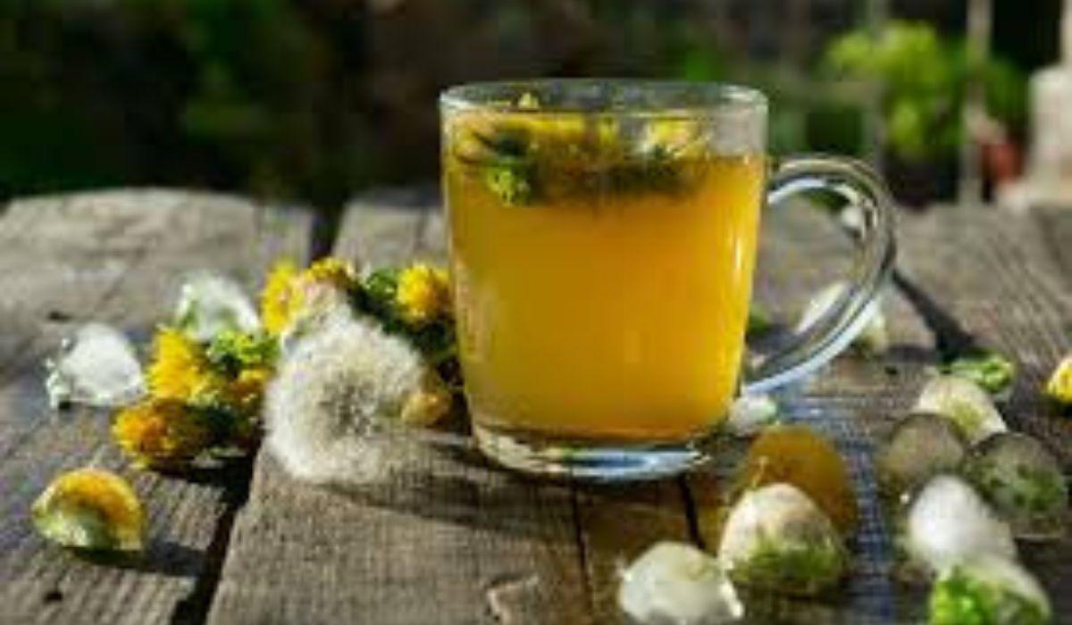 Chá de Cardo Mariano: Proteção e Regeneração Hepática - inspiração 1