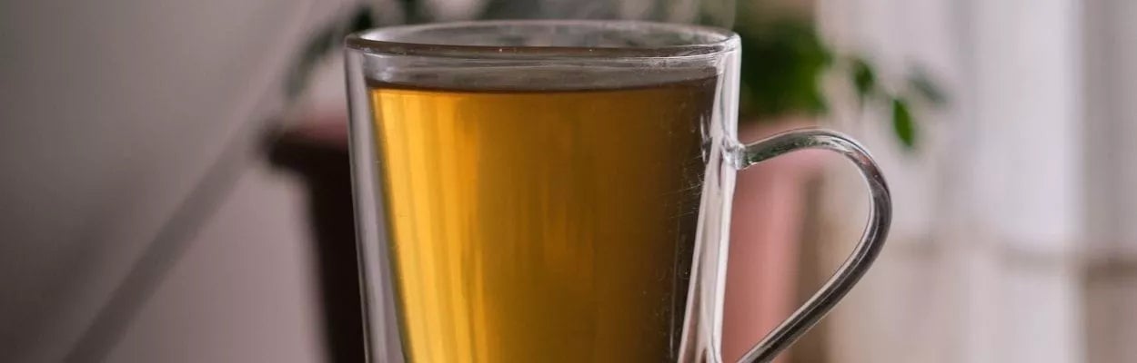 Equinácea: Fortalecendo as defesas naturais do seu corpo - inspiração 2