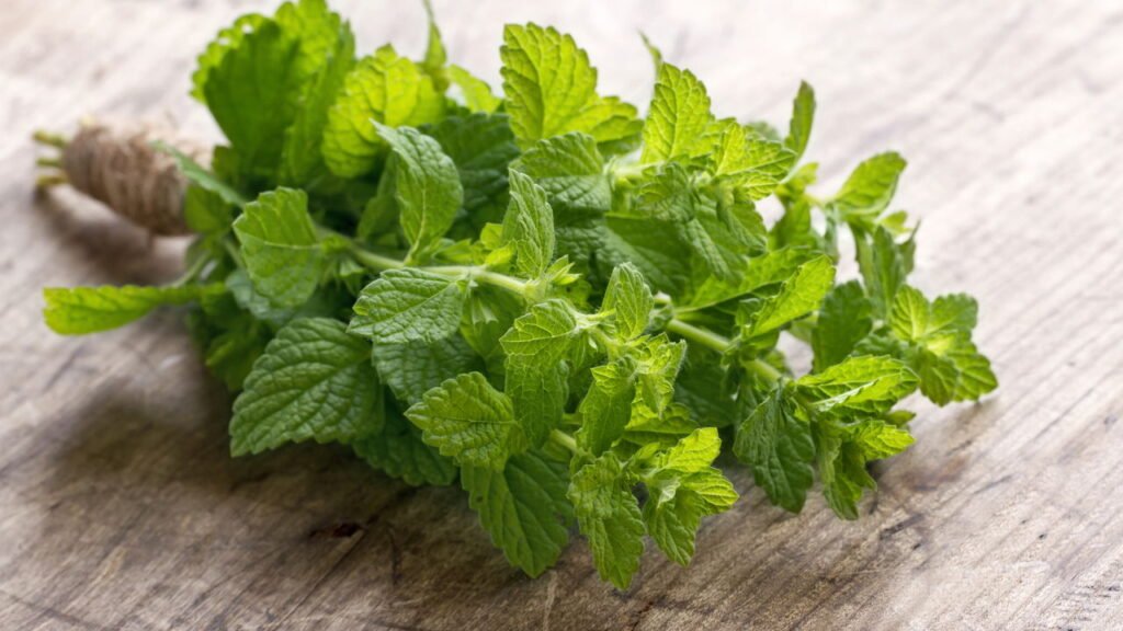 Glicirriza (Raiz de Alcaçuz): Um Suporte Suave para a Garganta - inspiração 2