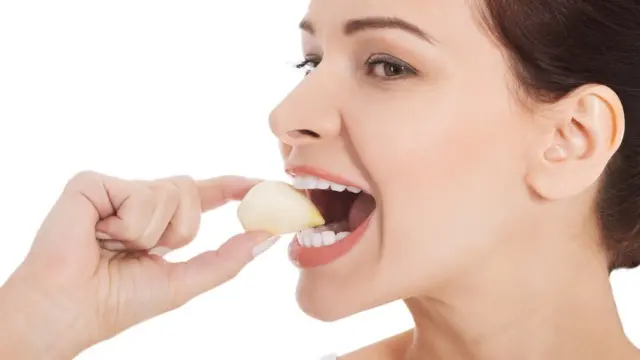 Equinácea: Fortalecendo Sua Imunidade e Digestão - inspiração 1