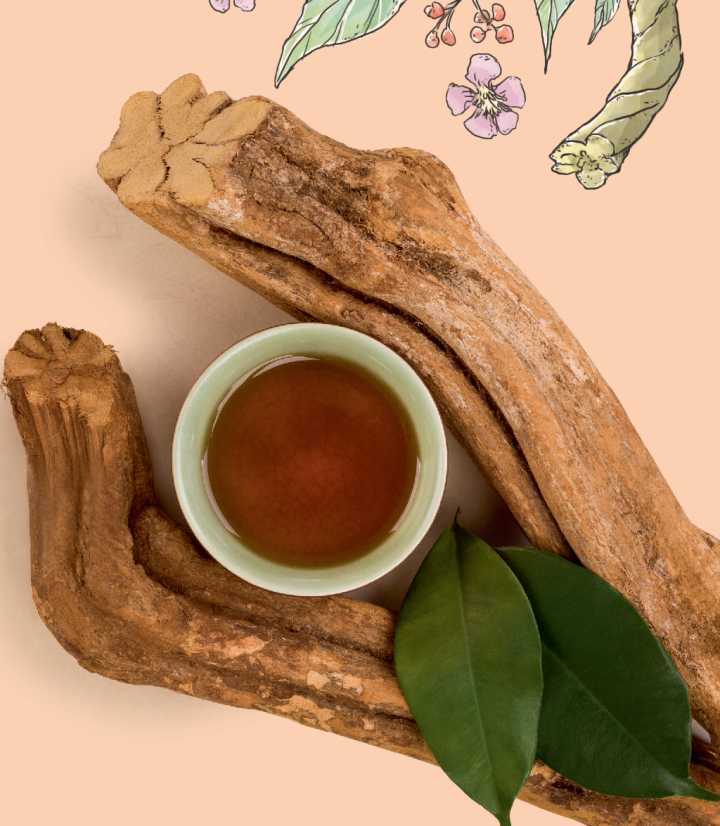 Açafrão: Um Potencial Protetor Contra Danos - inspiração 2