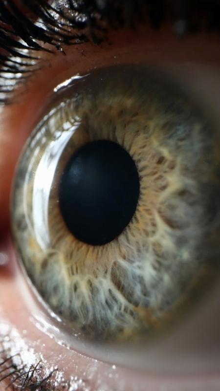 Cominho: Nutrientes Essenciais para a Saúde Ocular - inspiração 1