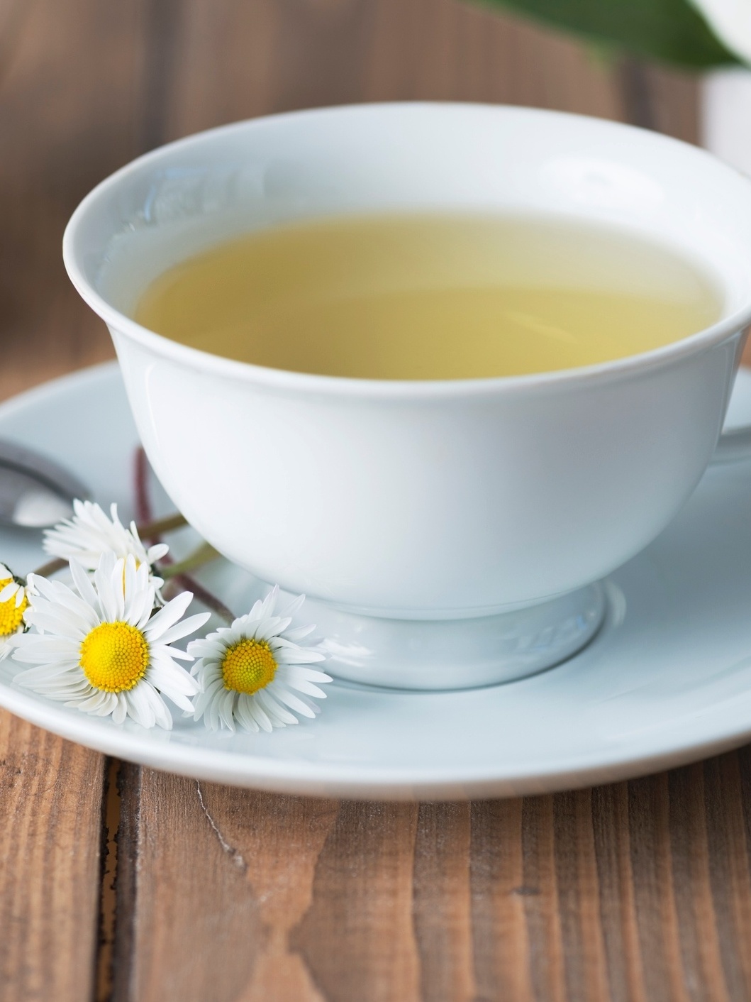 Lavanda: O Aroma que Traz o Relaxamento Necessário - inspiração 2