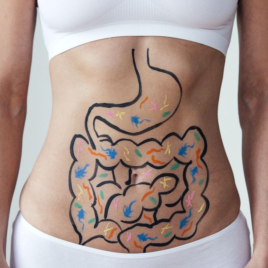 Gengibre: Ação Reparadora e Digestiva - inspiração 1