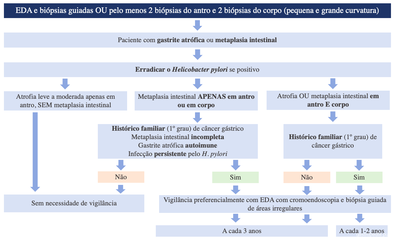O Papel do Chá Verde na Saúde Intestinal - inspiração 1