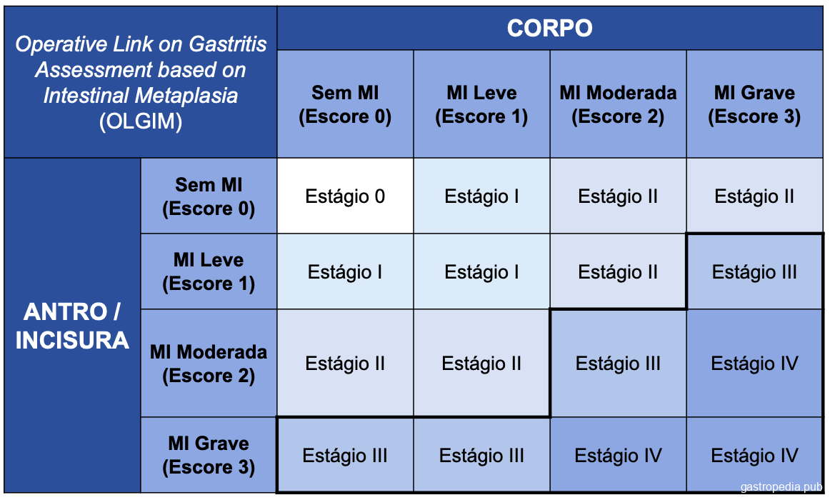 Erva-doce: Suavidade e Conforto Digestivo - inspiração 1