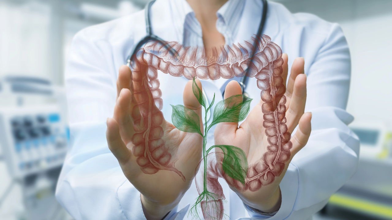 Erva-doce: Suavidade e Conforto Digestivo - inspiração 2