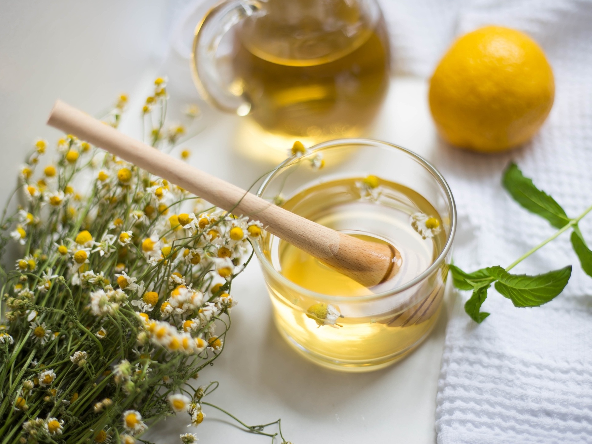 A Amapola e Seus Efeitos Contestados - inspiração 1