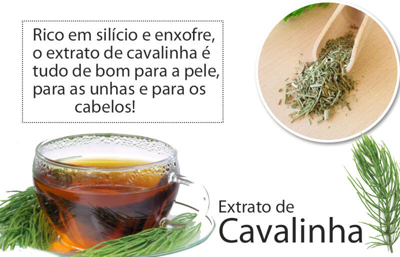 Chá de Alecrim: O Queridinho do Couro Cabeludo Saudável - inspiração 2