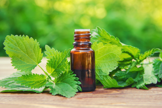 Chá Verde: Antioxidantes para Proteger os Fios - inspiração 2