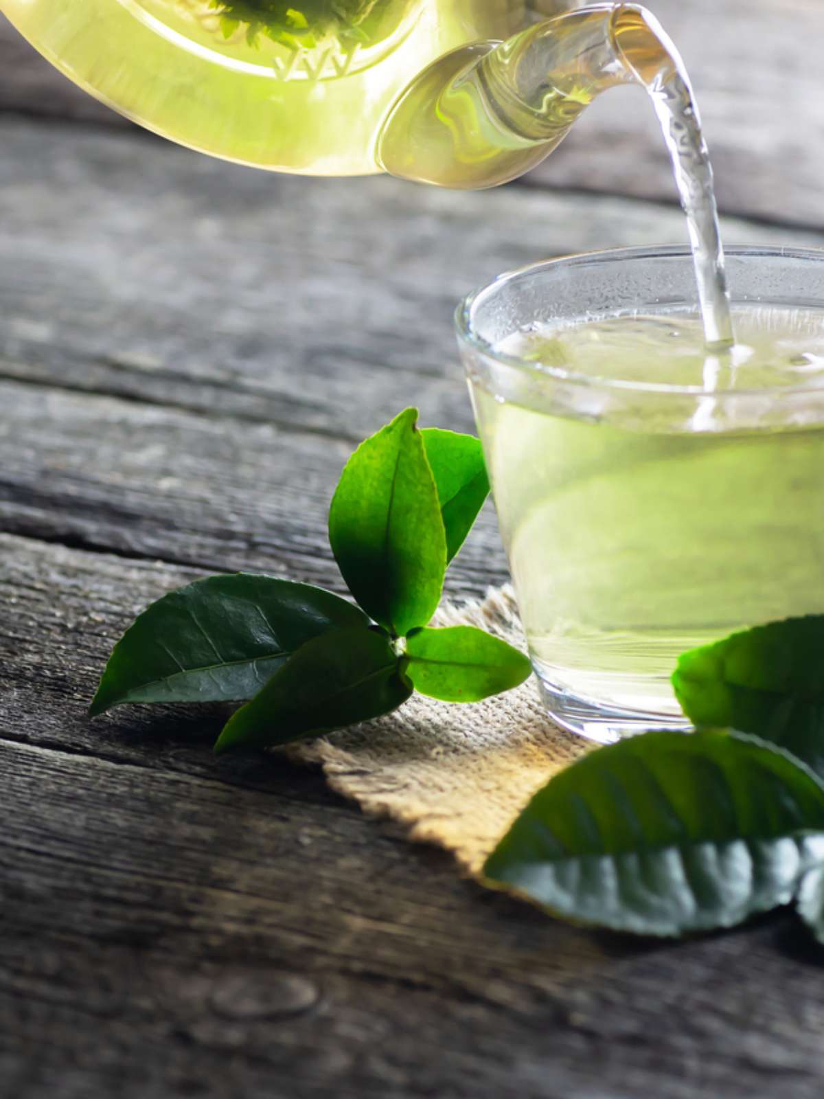 Chá de Canela: Doçura que Faz Bem para as Artérias - inspiração 1