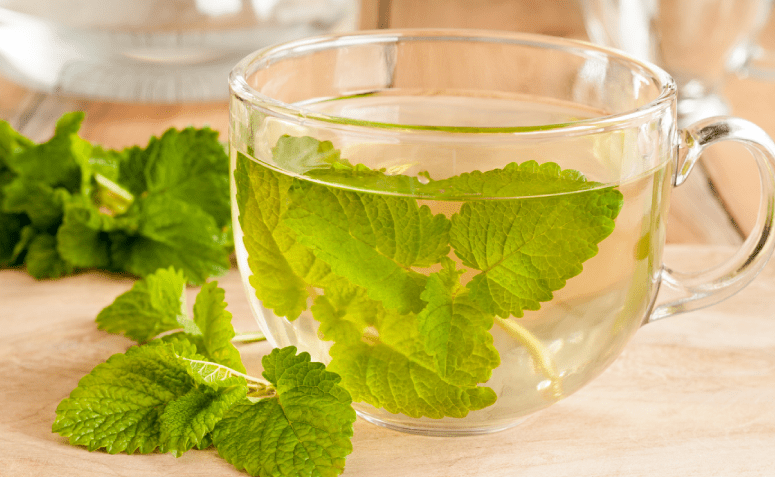 Camomila: O Clássico Acalmador para Inflamações Estomacais - inspiração 1