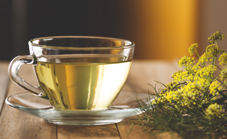 Manjericão: Alívio para Dor e Espasmos Musculares Estomacais - inspiração 2