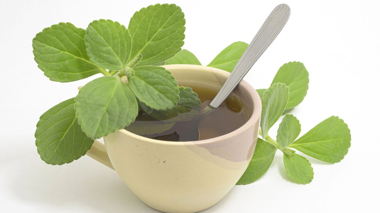 O Poder do Chá Verde: Antioxidantes em Ação - inspiração 2