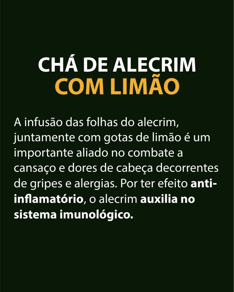 Chá Verde com Gengibre e Hortelã: Antioxidante e Energizante - inspiração 2