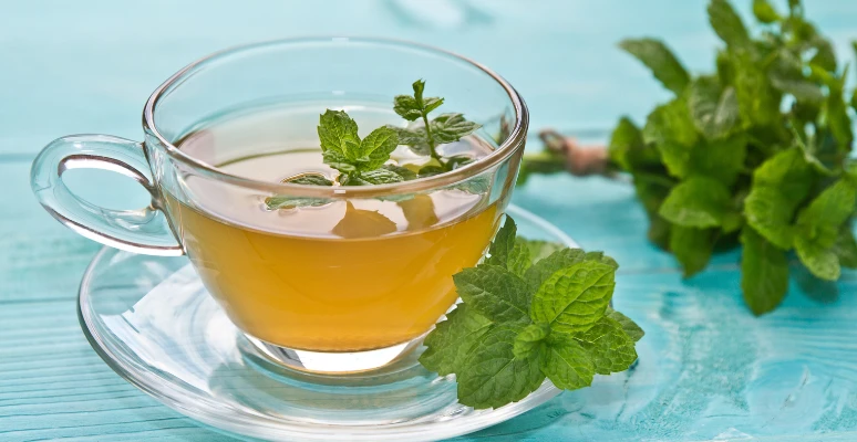 Chá de Hortelã com Mel: Refrescância e Alívio para a Garganta - inspiração 1