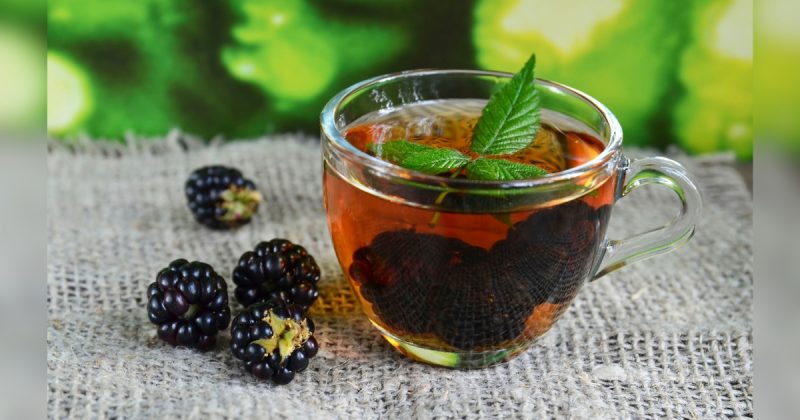 Chá de Salsa: Um Reforço Poderoso em Cálcio e Vitamina K - inspiração 2