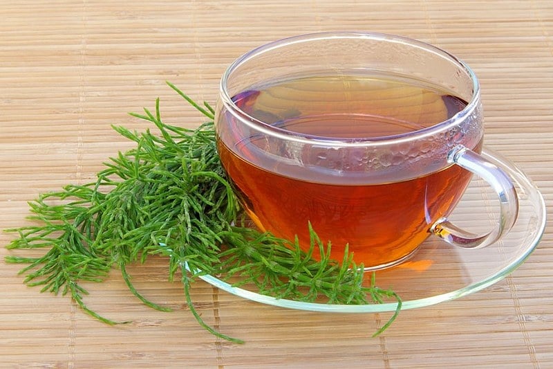 Chá de Gengibre: Combate à Inflamação e Absorção de Nutrientes - inspiração 2