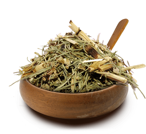 Chá de Erva-cidreira: Bem-estar e Sono Reparador - inspiração 2