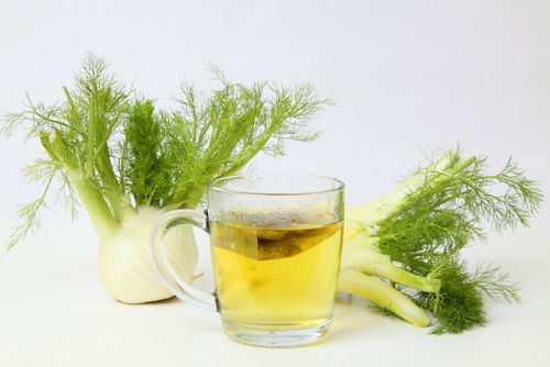 Erva-Doce: Um Clássico que Alivia e Refresca - inspiração 2