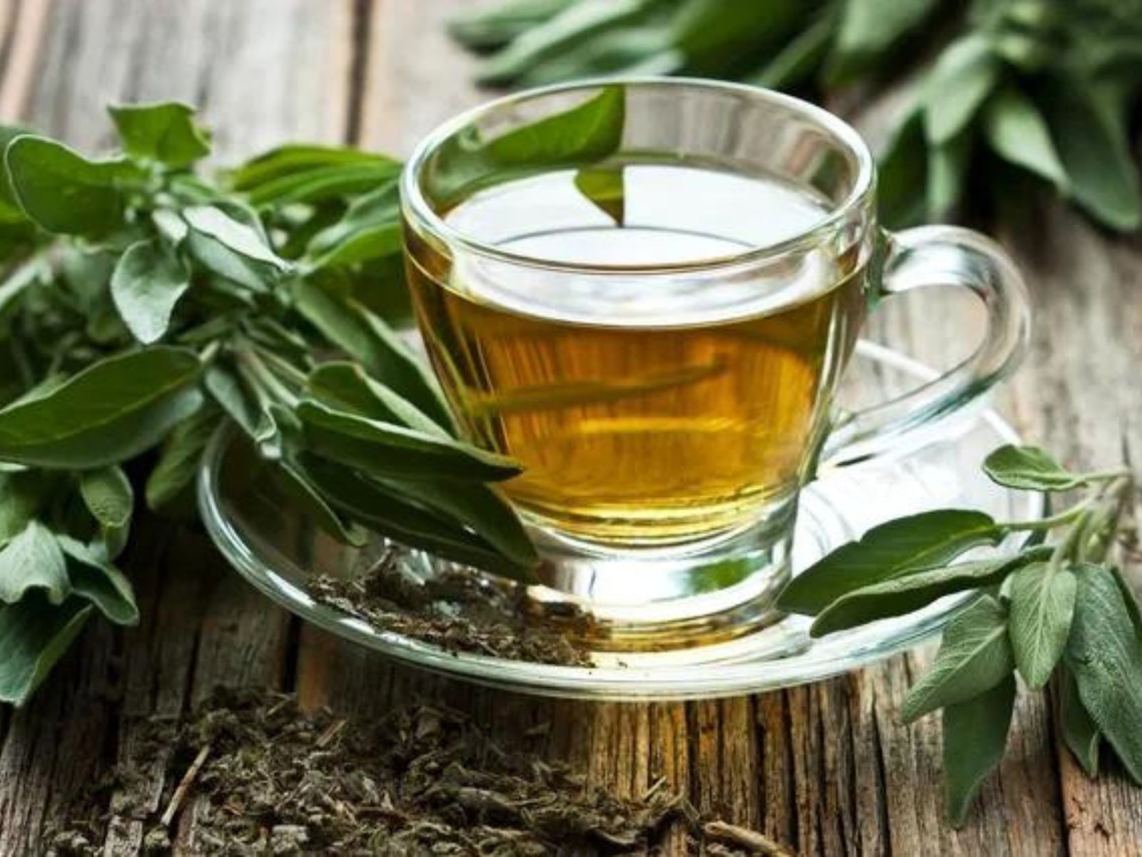 Chá de Alho: Surpreendente Proteção Contra Coágulos - inspiração 1