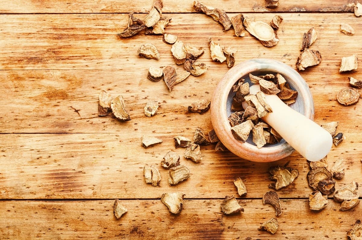 Ginkgo Biloba: Circulação e Saúde da Próstata em Sintonia - inspiração 1