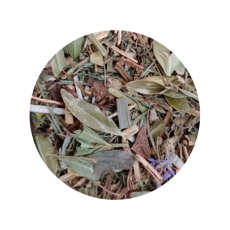 Chá de Salsa: Simples e Eficaz no Auxílio - inspiração 2