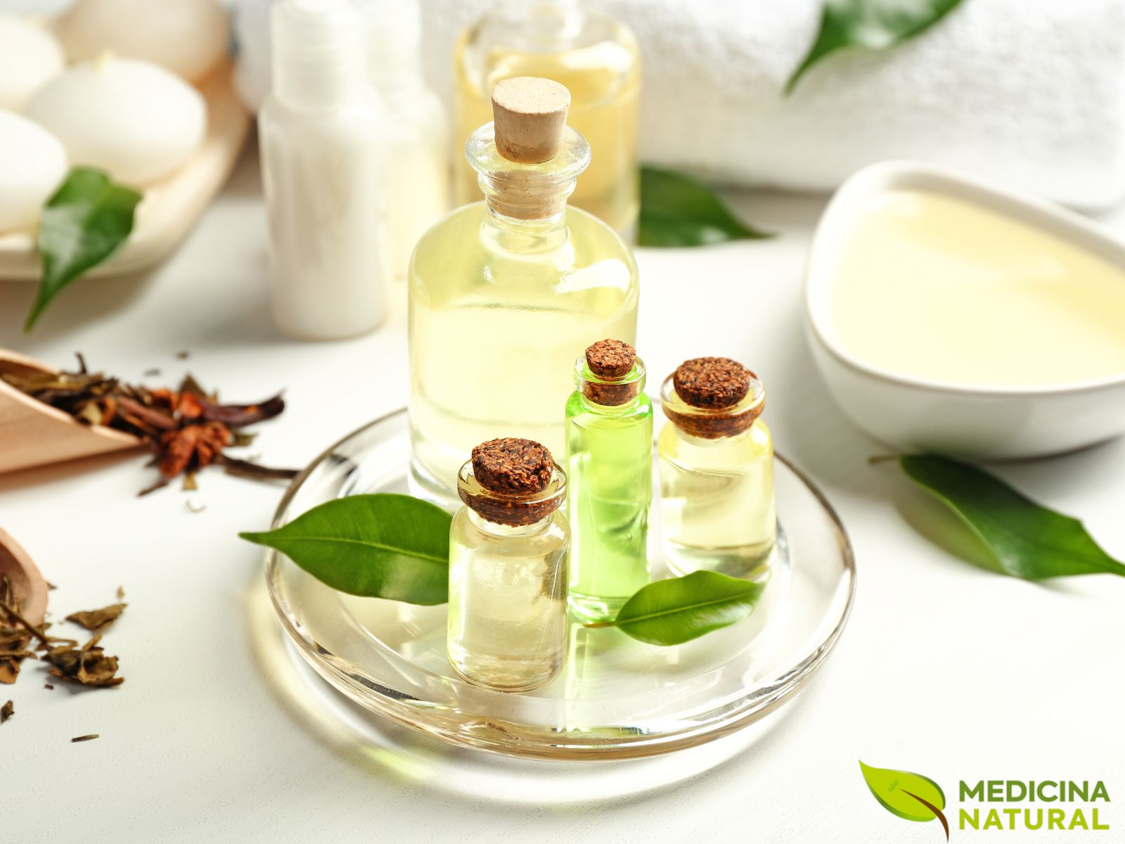 Hortelã: Refrescância e Conforto para a Pele Irritada - inspiração 1