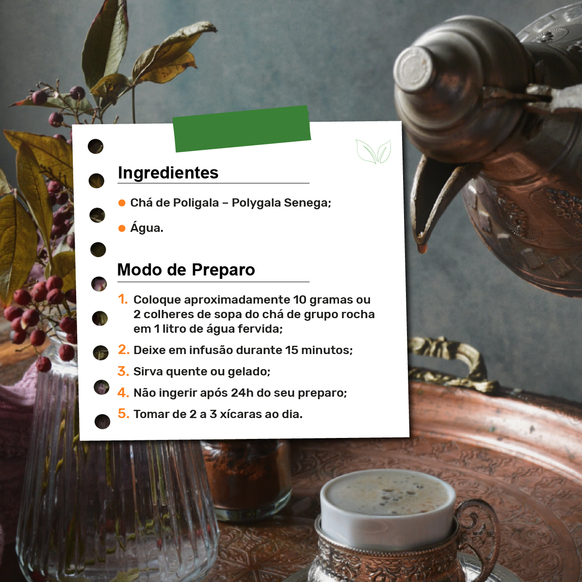 Erva-cidreira e Seus Efeitos Relaxantes - inspiração 1