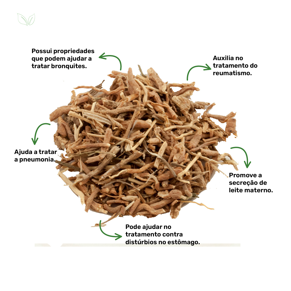 Equilíbrio Intestinal com Chá de Funcho - inspiração 1