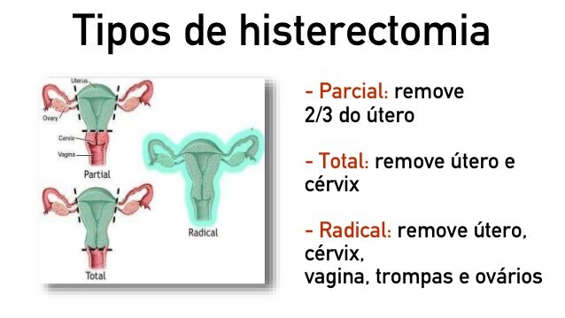 Chá de camomila: o abraço calmante que você precisa - inspiração 1