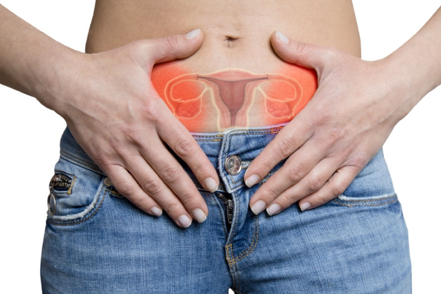 Gengibre: seu aliado contra o desconforto e a inflamação - inspiração 2