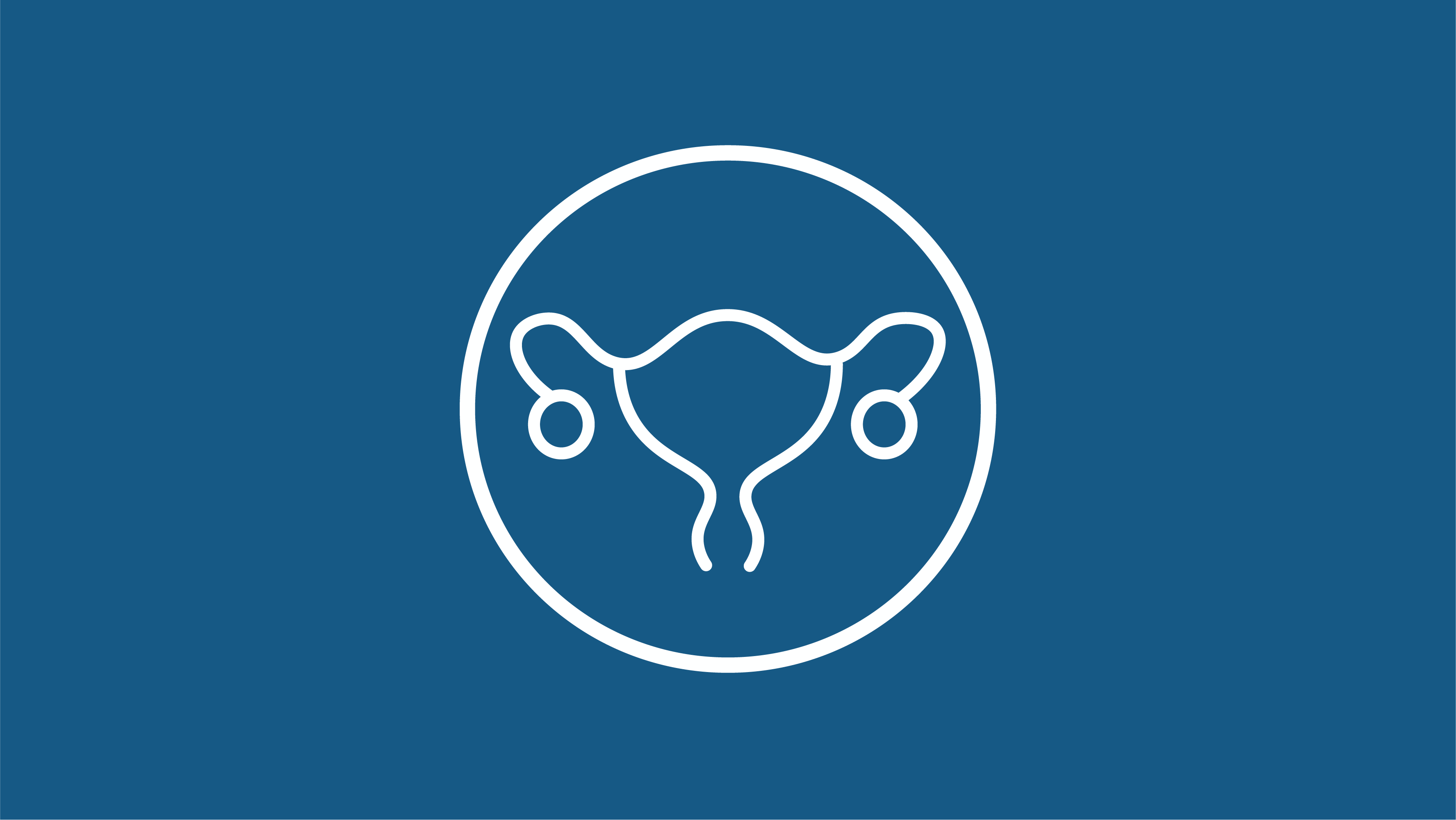 Alcaçuz: cuidado para a mucosa e equilíbrio hormonal - inspiração 1