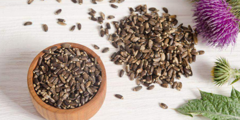 Hortelã: Aliviando Desconfortos e Auxiliando a Digestão - inspiração 2