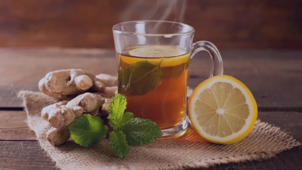 Boldo: Um Clássico para a Saúde Hepática e Digestiva - inspiração 1