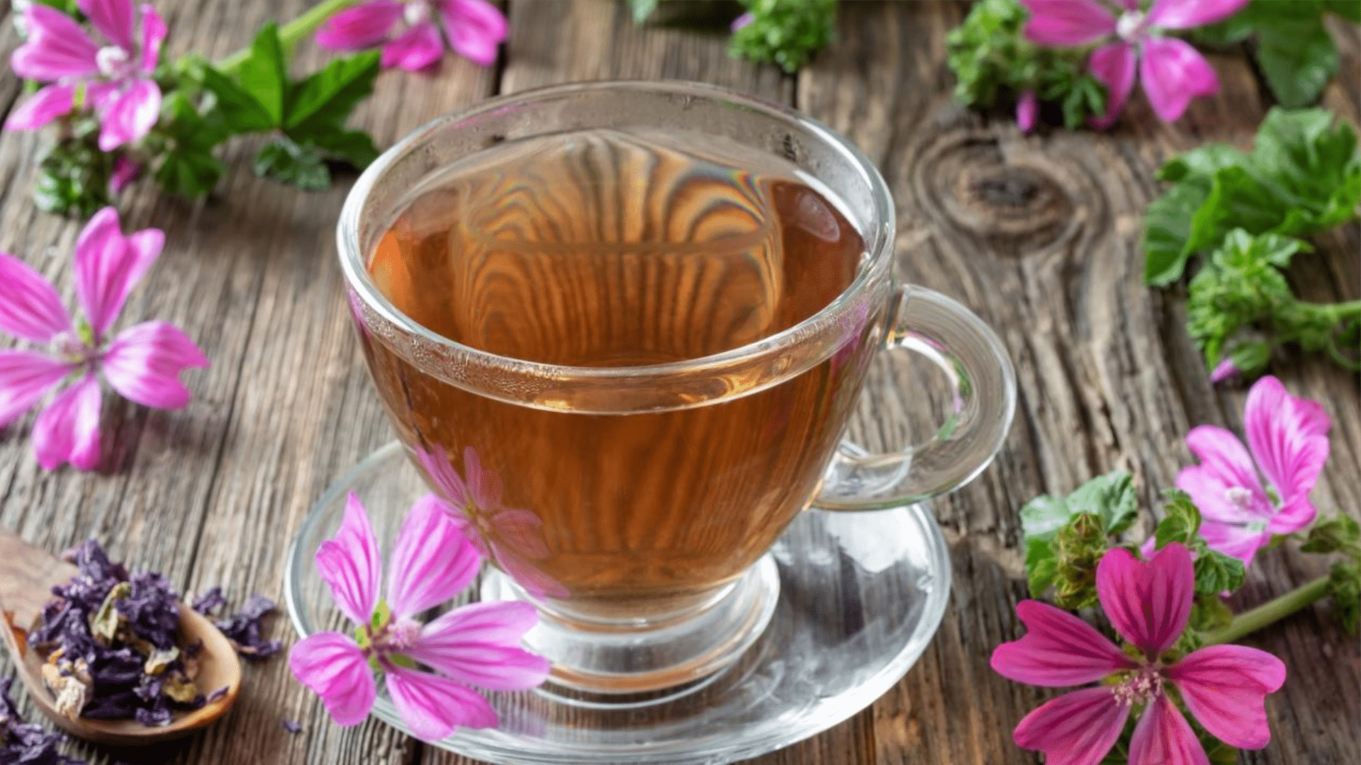 Camomila: A Dose de Calma para Seu Sistema Digestivo - inspiração 2