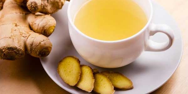 Hortelã: Frescor que Alivia a Azia e o Desconforto - inspiração 2