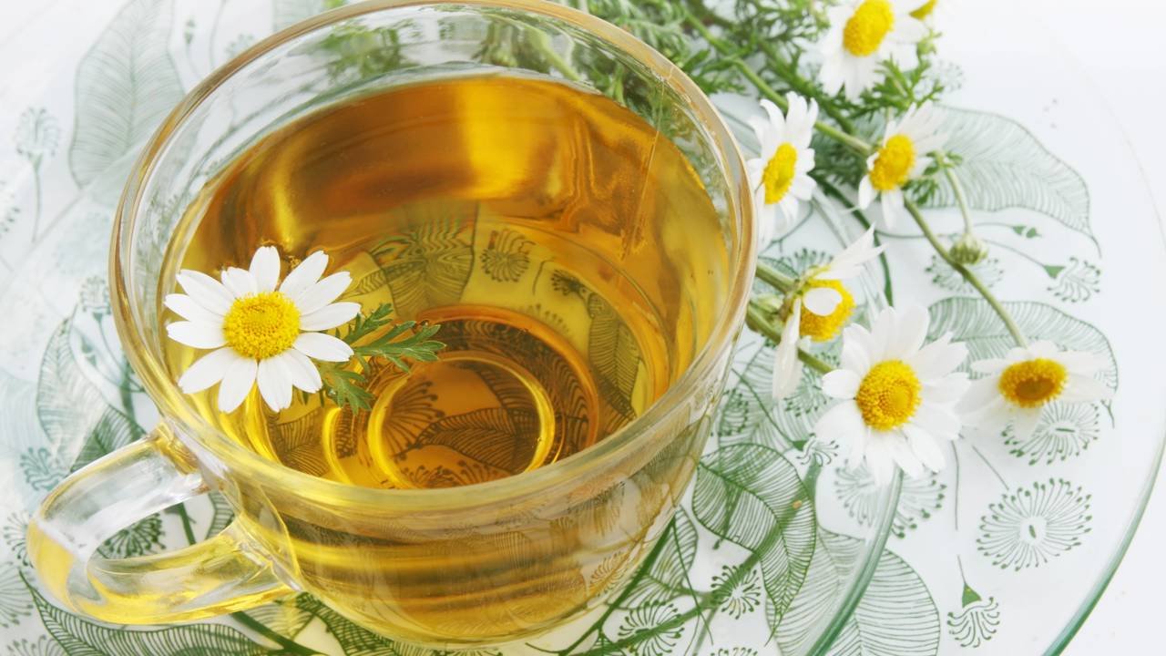 Tomilho: Aliado Para Tosse e Bronquite - inspiração 2