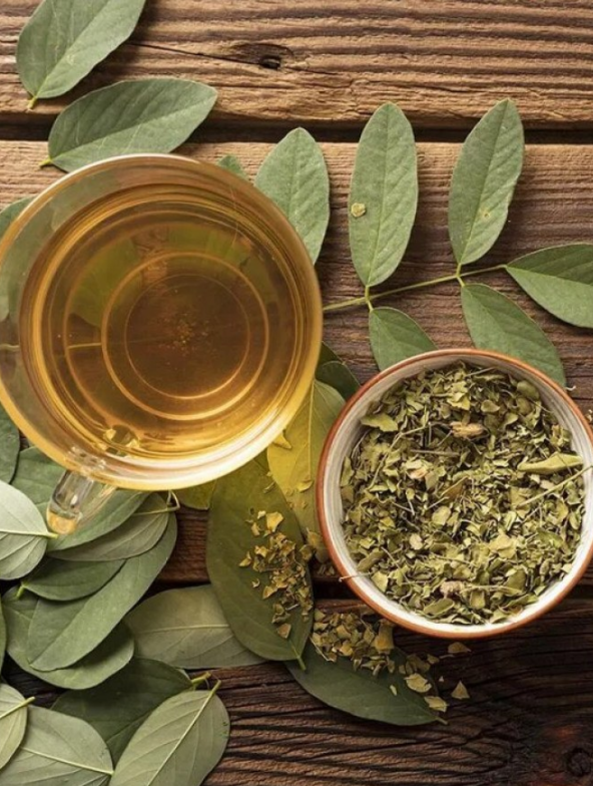 Gengibre: O Rei Contra a Náusea - inspiração 2