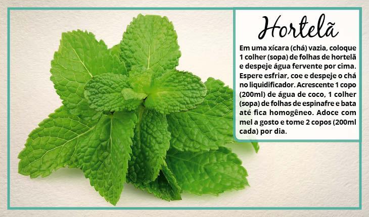 Camomila: Acalmando a Inflamação Nasal - inspiração 1