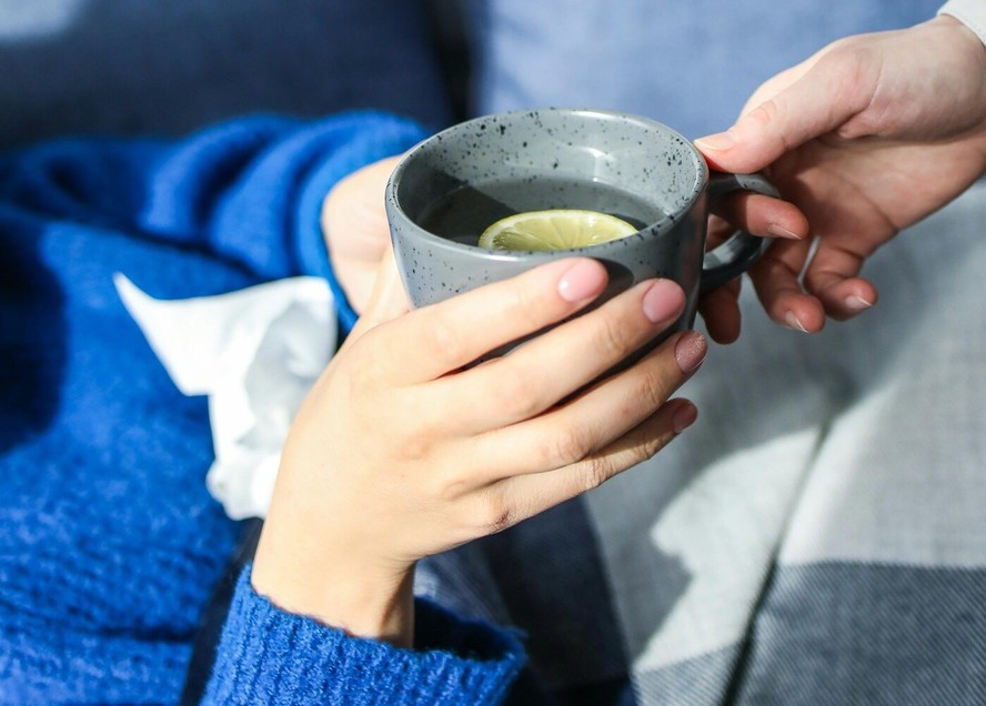 Equinácea: Fortalecendo suas Defesas Naturais - inspiração 2