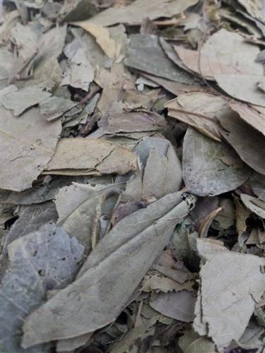 Acupuntura e Acupressão como Estímulos - inspiração 2