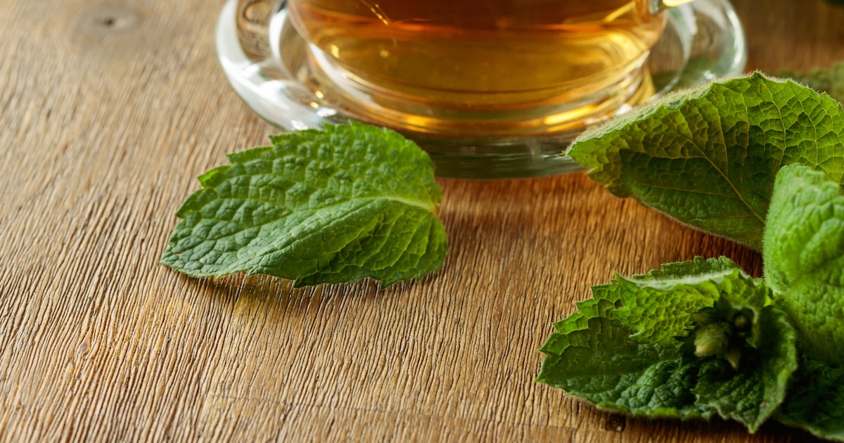 Chá de tamarindo: Doçura Natural com Efeito Laxativo - inspiração 2