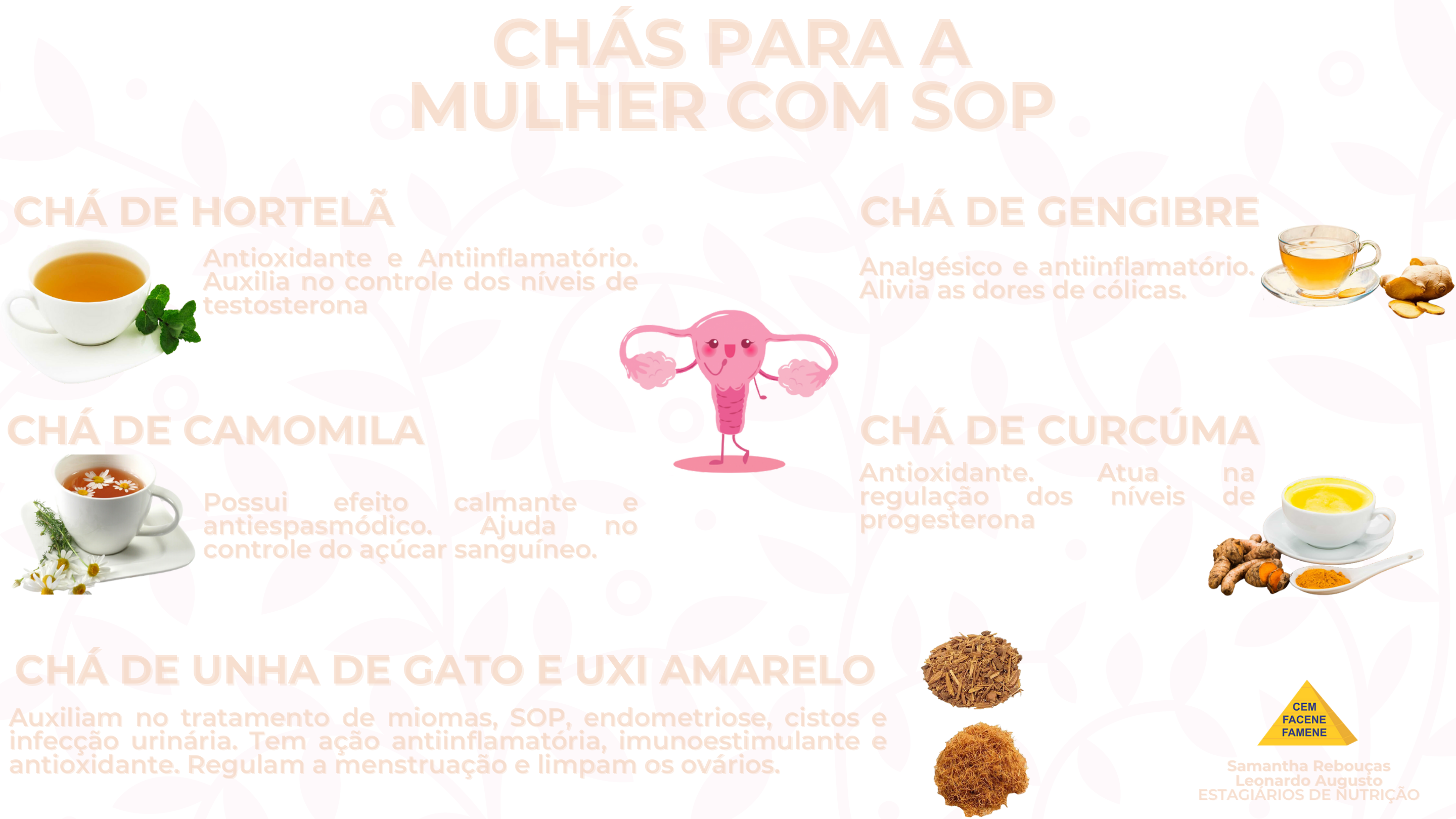 Hortelã: Alívio e Equilíbrio Hormonal - inspiração 1